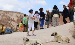 Kapadokya'da Avustralyalı Turiste Sokak Köpeği Saldırdı