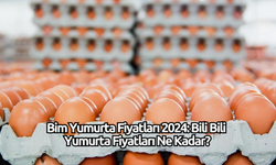 Bim Yumurta Fiyatları 2024: Bili Bili Yumurta Fiyatları Ne Kadar?