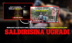 Memleket Gazetesi Uyardı, Yetkililer Duymadı: Çocuk Başıboş Köpeklerin Saldırısına Uğradı