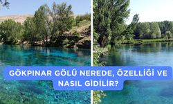 Gökpınar Gölü Nerede, Özelliği ve Nasıl Gidilir?