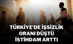 Türkiye'de İşsizlik Oranı Düştü, İstihdam Arttı