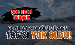 Şok Edici Gerçek: 60 Yılda 240 Gölümüzden 186'sı Yok Oldu!