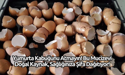 Yumurta Kabuğunu Atmayın! Bu Mucizevi Doğal Kaynak, Sağlığınıza Şifa Dağıtıyor!