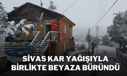 Sivas Kar Yağışıyla Birlikte Beyaza Büründü