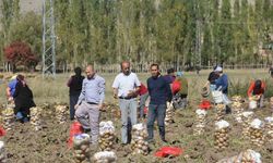 Sivaslı Üretici Fahiş Fiyat Artışının Önüne Geçiyor