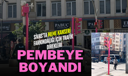 Sivas'ta Meme Kanseri Farkındalığı İçin Trafik Direkleri Pembeye Boyandı