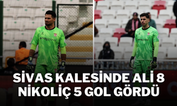 Sivas Kalesinde Ali 8 Nikoliç 5 Gol Gördü