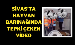 Sivas’ta Hayvan Barınağında Tepki Çeken Video