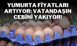 Yumurta Fiyatları Artıyor: Vatandaşın Cebini Yakıyor!