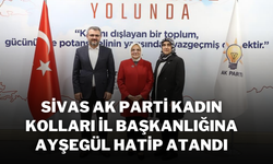 Sivas AK Parti Kadın Kolları İl Başkanlığına Ayşegül Hatip Atandı