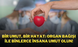 Bir Umut, Bir Hayat: Organ Bağışı ile Binlerce İnsana Umut Olun!