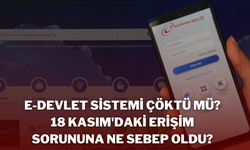 e-Devlet Sistemi Çöktü mü? 18 Kasım'daki Erişim Sorununa Ne Sebep Oldu?