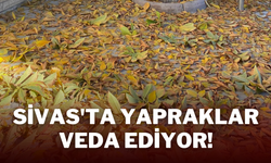 Sivas'ta Yapraklar Veda Ediyor!