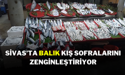 Sivas’ta Balık, Kış Sofralarını Zenginleştiriyor