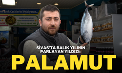 Sivas’ta Balık Yılının Parlayan Yıldızı: Palamut