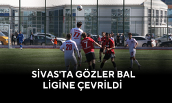 Sivas'ta Gözler Bal Ligine Çevrildi