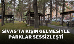 Sivas'ta Kışın Gelmesiyle Parklar Sessizleşti