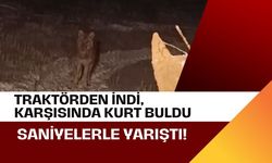 Traktörden İndi, Karşısında Kurt Buldu: Saniyelerle Yarıştı!