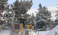 Erzincan-Malatya Karayolunda Kar Yağışı ve Çığ Tehlikesi