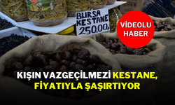 Kışın Vazgeçilmezi Kestane, Fiyatıyla Şaşırtıyor