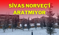 Sivas Norveç’i Aratmıyor