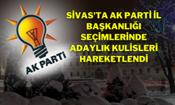 Sivas'ta AK Parti İl Başkanlığı Seçimlerinde Adaylık Kulisleri Hareketlendi