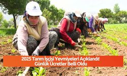 2025 Tarım İşçisi Yevmiyeleri Açıklandı! Günlük Ücretler Belli Oldu