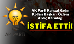 AK Parti Kangal Kadın Kolları Başkanı Özlem Ardıç Karadağ İstifa Etti!