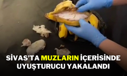 Sivas’ta Muzların İçerisinde Uyuşturucu Yakalandı