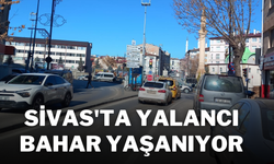 Sivas'ta Yalancı Bahar Yaşanıyor