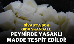 Sivas’ta Şok Gıda Skandalı: Peynirde Yasaklı Madde Tespit Edildi!