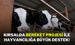 Kırsalda Bereket Projesi ile Hayvancılığa Büyük Destek!