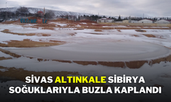 Sivas Altınkale, Sibirya Soğuklarıyla Buzla Kaplandı