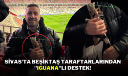 Sivas'ta Beşiktaş Taraftarlarından "Iguana"lı Destek!