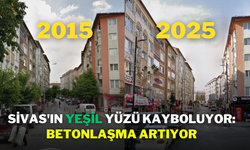 Sivas'ın Yeşil Yüzü Kayboluyor: Betonlaşma Artıyor