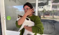 Kaybolan Kedi, Esnafın Yardımıyla Kurtarıldı