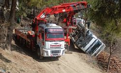 Tomruk Taşıyan Kamyon Devrildi, Sürücü Hastaneye Kaldırıldı