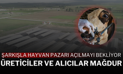 Şarkışla Hayvan Pazarı Açılmayı Bekliyor: Üreticiler ve Alıcılar Mağdur