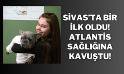 Sivas’ta Bir İlk Oldu! Atlantis Sağlığına Kavuştu!