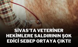 Sivas'ta Veteriner Hekimlere Saldırının Şok Edici Sebep Ortaya Çıktı!