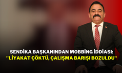 Sendika Başkanından Mobbing İddiası: "Liyakat Çöktü, Çalışma Barışı Bozuldu"