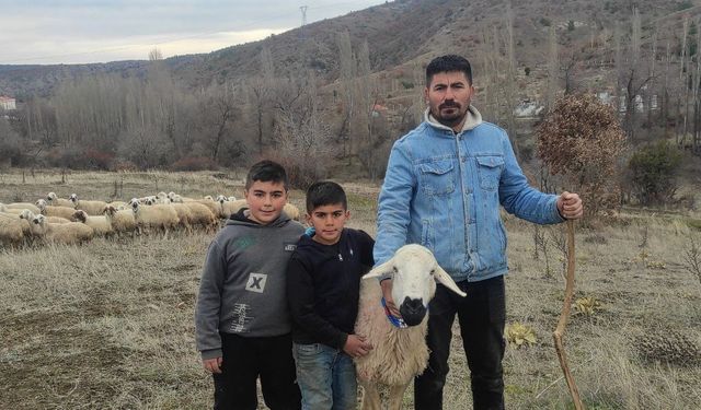 İstanbul'dan Köyüne Dönen Zafer Kuru, Koyun Yetiştiricisi Olarak Geçimini Sağlıyor