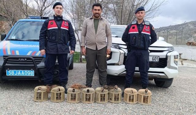 Sivas'ta Yasadışı Avcılık Yapan 4 Kişi Yakalandı