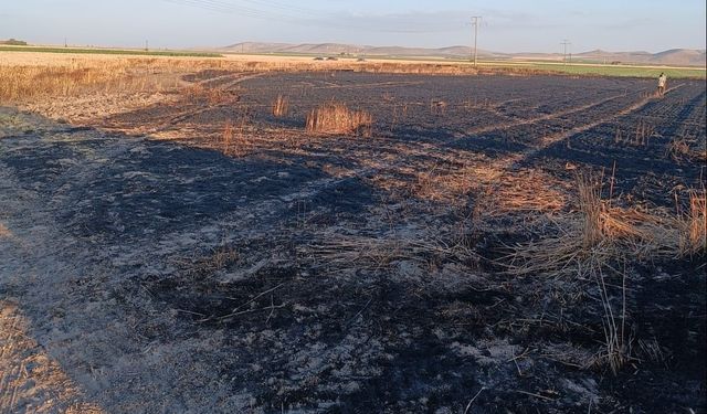 Karapınar'da Buğday Tarlasında Yangın: 15 Dekar Buğday Yok Oldu
