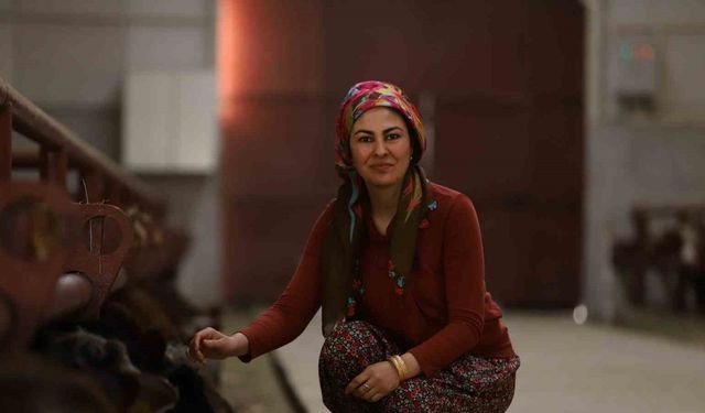 Kadın Girişimci Devlet Desteğiyle 100 Büyükbaş Kapasiteli Modern Besi Çiftliği Kurdu