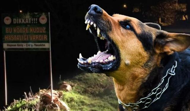 8 Yaşındaki Çocuk Köpek Saldırısına Kurban Gitti