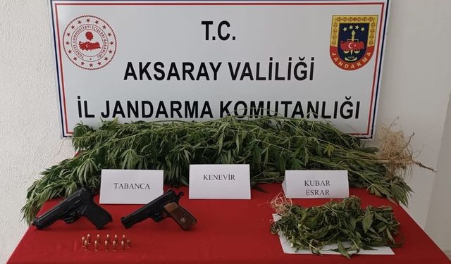 "Aksaray’da Uyuşturucu Operasyonu: Yasa Dışı Kenevir Ekimi Yapan Şüpheli Yakalandı"