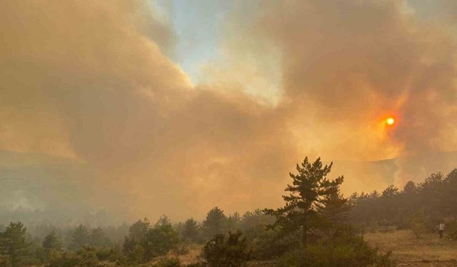 Çankırı’nın Ilgaz İlçesinde Orman Yangınına Müdahale Devam Ediyor