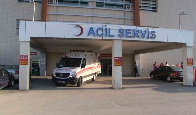 Çiftlik’te Ölümcül Kaza: Elma Ağacından Düşerek Hayatını Kaybetti