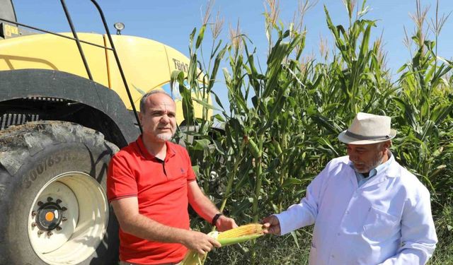 NÖHÜ, Kendi Ürettiği Yemle Hayvancılıkta Atılım Yapıyor